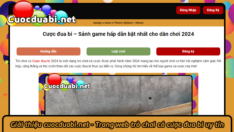 Giới thiệu cuocduabi.net - Trang web trò chơi cá cược đua bi uy tín